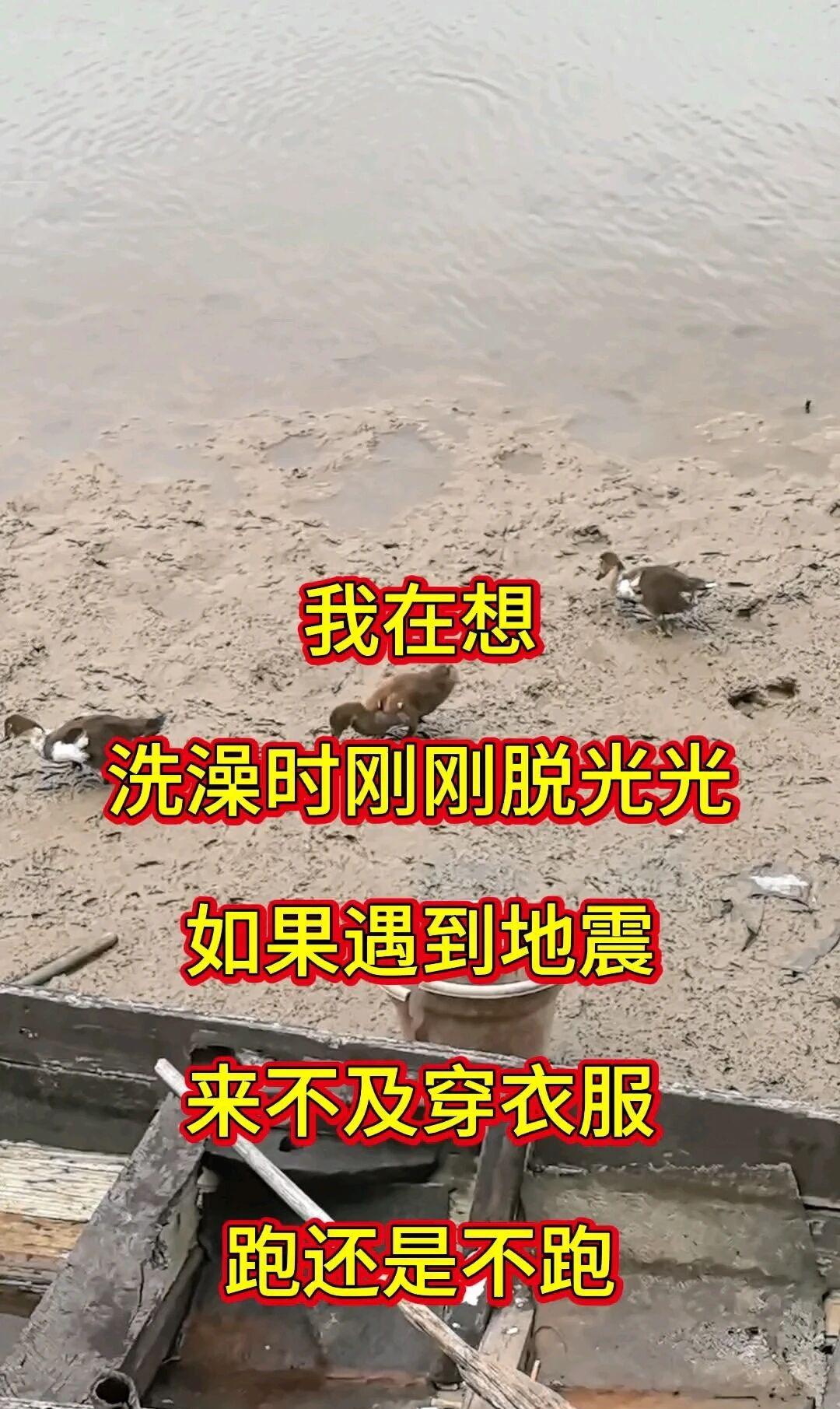 问大家一个问题，你脱光衣服正准备洗澡，这时却突然地震了，那么你跑还是不跑呢？跑吧
