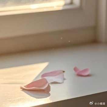 ²º²⁶/₀₆.₂₃🎀ɴɪᴄᴇ ᴅᴀʏ🌷早安ﾉ每个清晨，都是自我蜕变的开始，