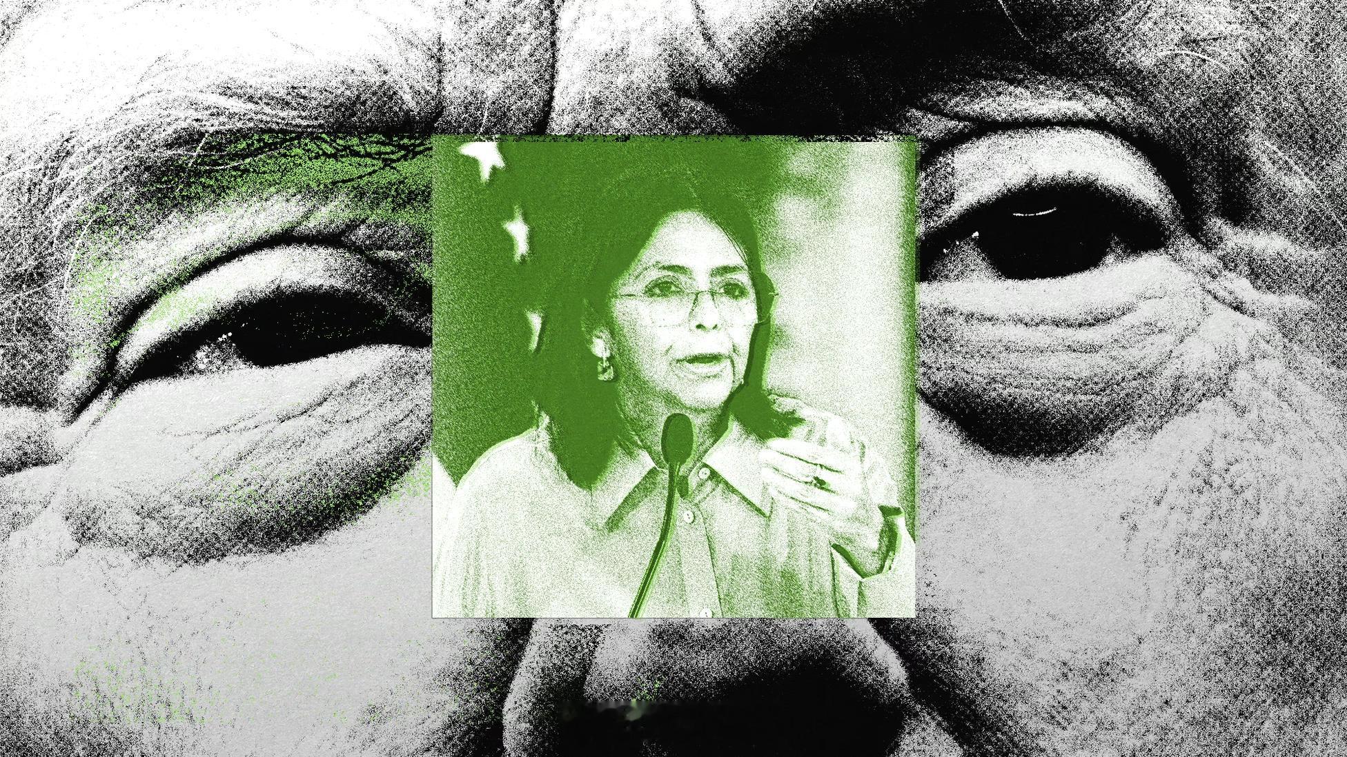 川普访谈最新事态发展 主要事件背景美国对 委内瑞拉发动军事行动，抓获委内瑞拉总统