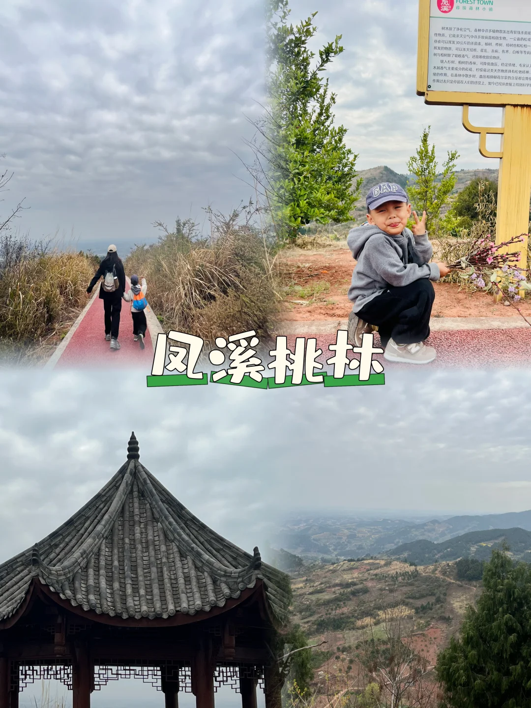 成都出发1小时‼️绝美山脊线徒步凤溪桃林