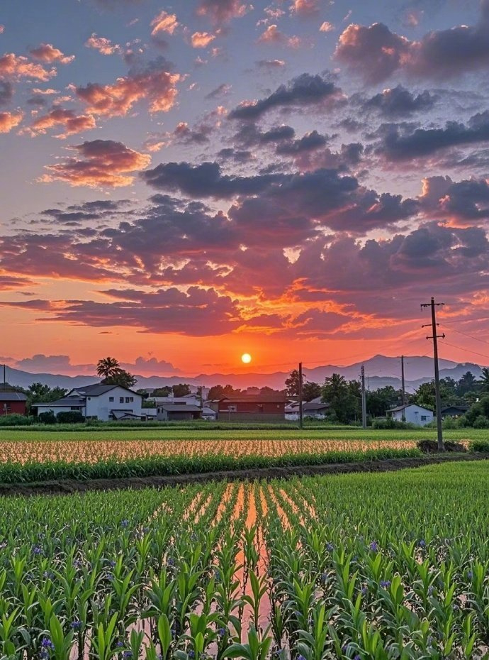 “夕阳无限好，只是近黄昏” ​​​