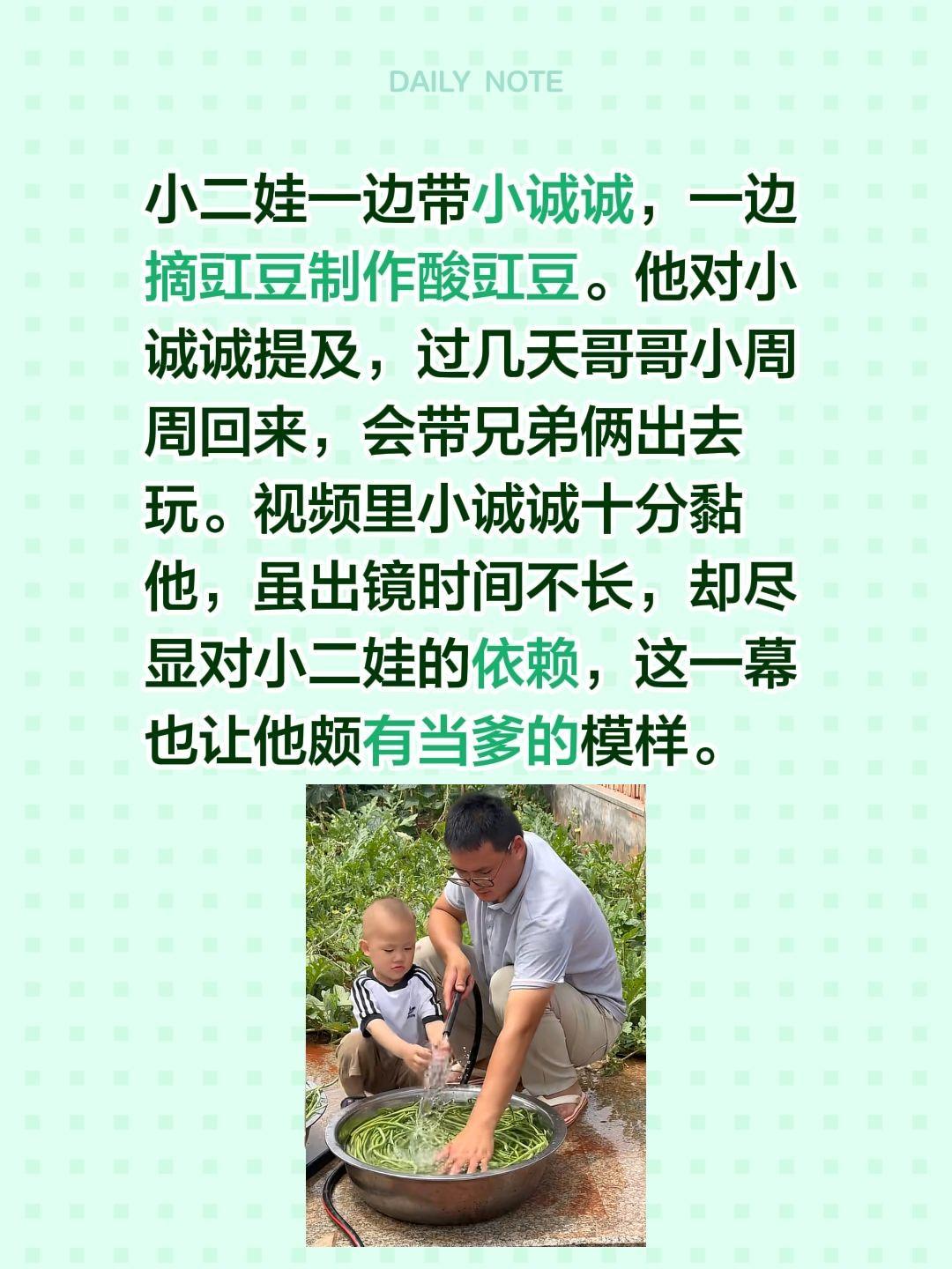 小二娃一边带小诚诚，一边摘豇豆制作酸豇豆。他对小诚诚提及，过几天哥哥小周周回来，