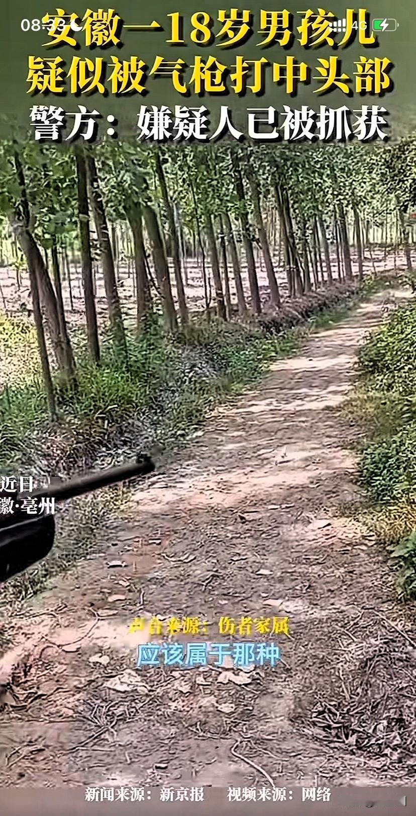 手抖一枪爆头误杀？骇人听闻。

安徽亳州一18岁男生凌晨下班途中，惨遭气枪子弹击