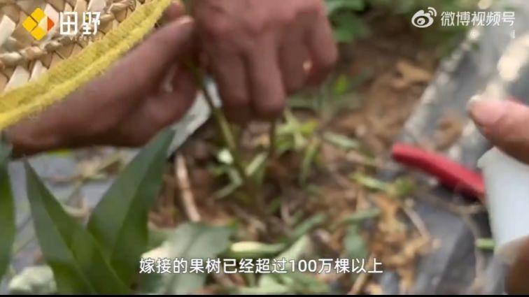 #67岁老人一年有300天都在出差##47岁失业后爷爷用20年重启人生# 苏红星