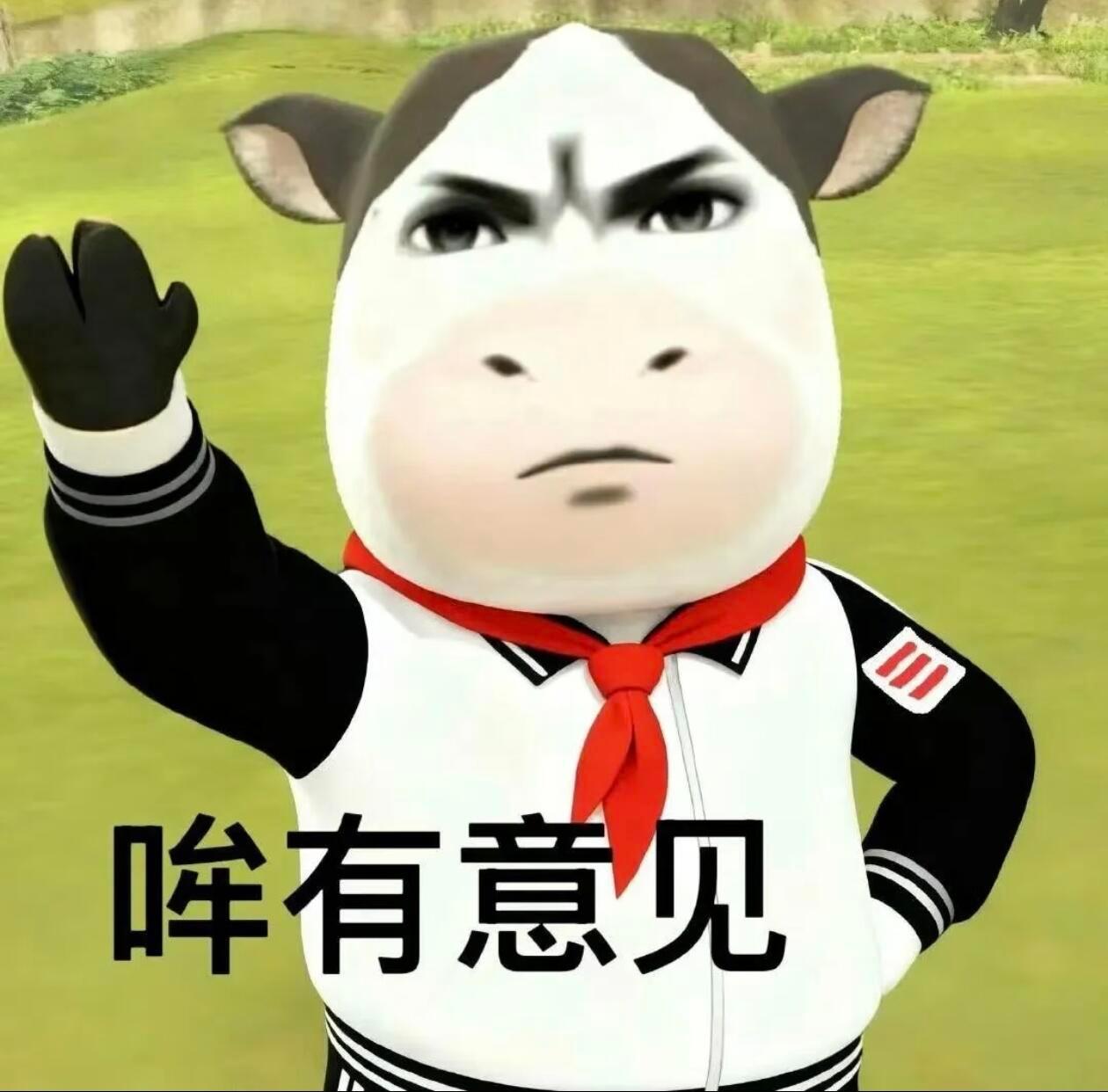 去他的爱屋及乌，我只爱云云姐一个 
