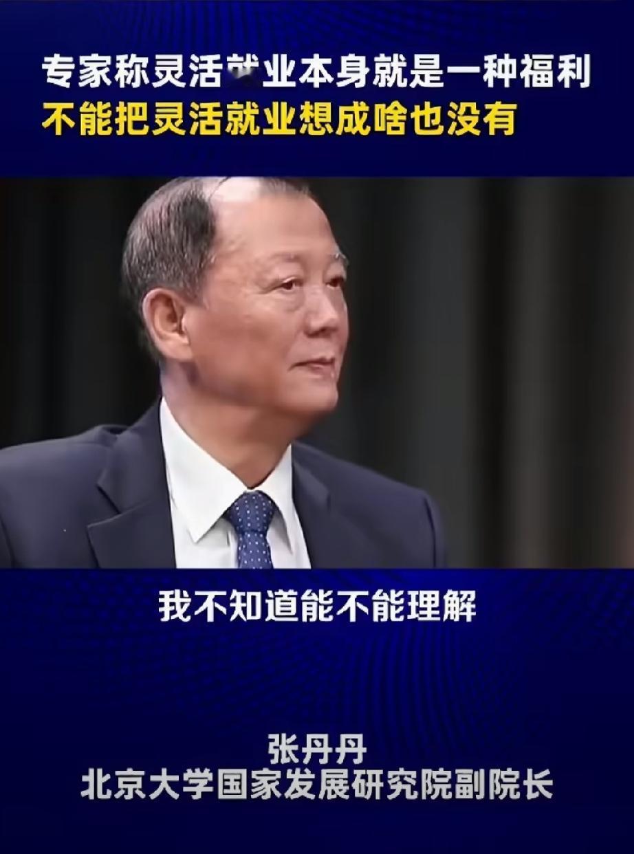 北大国家发展研究院副院长：灵活就业本身就是一种福利，其核心价值是劳动者拥有自由度