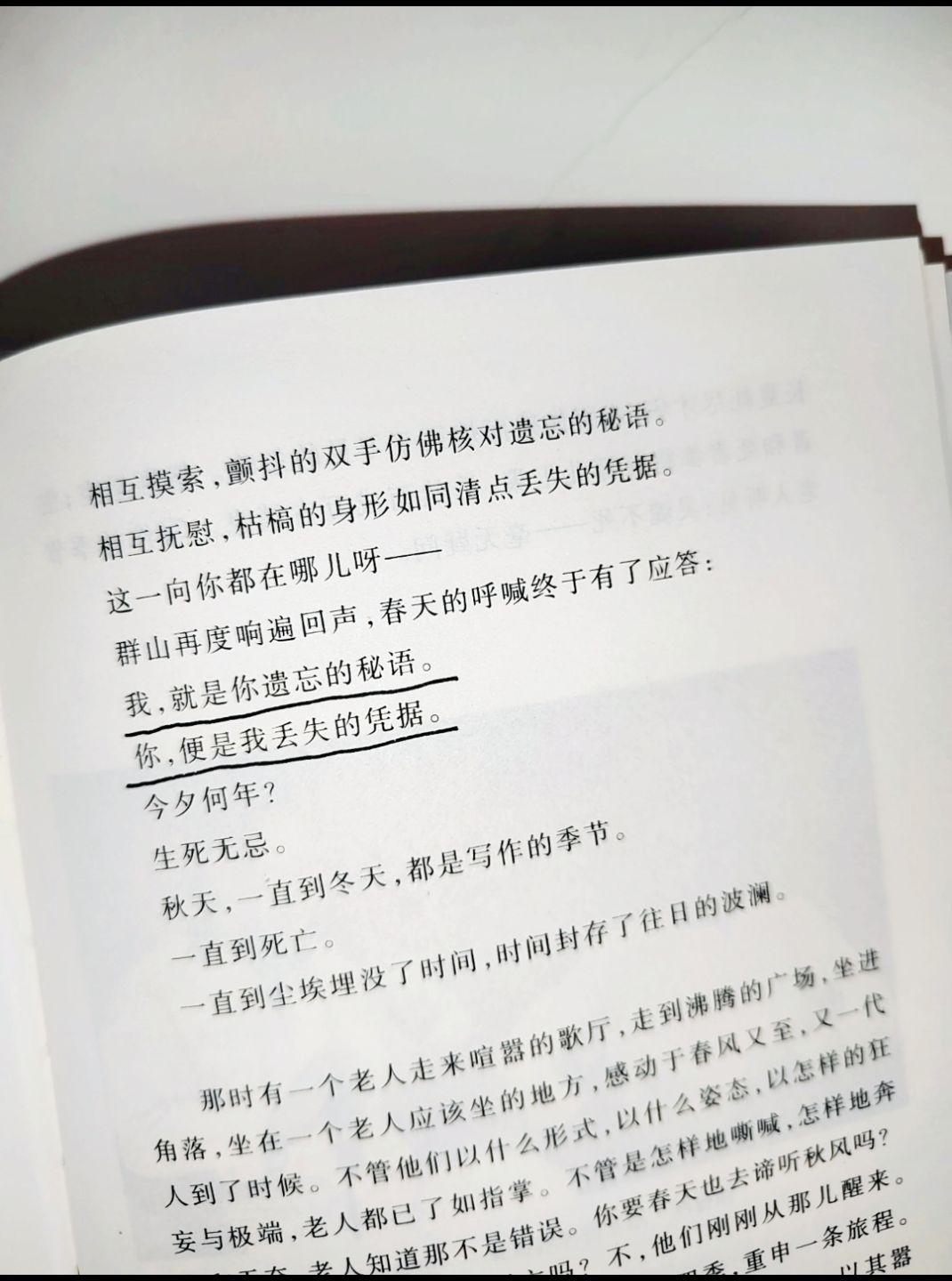 我 就是你遗忘的秘语。你 便是我丢失的凭据
