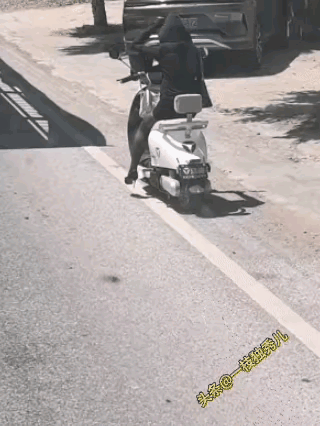 黑色真的吸热啊