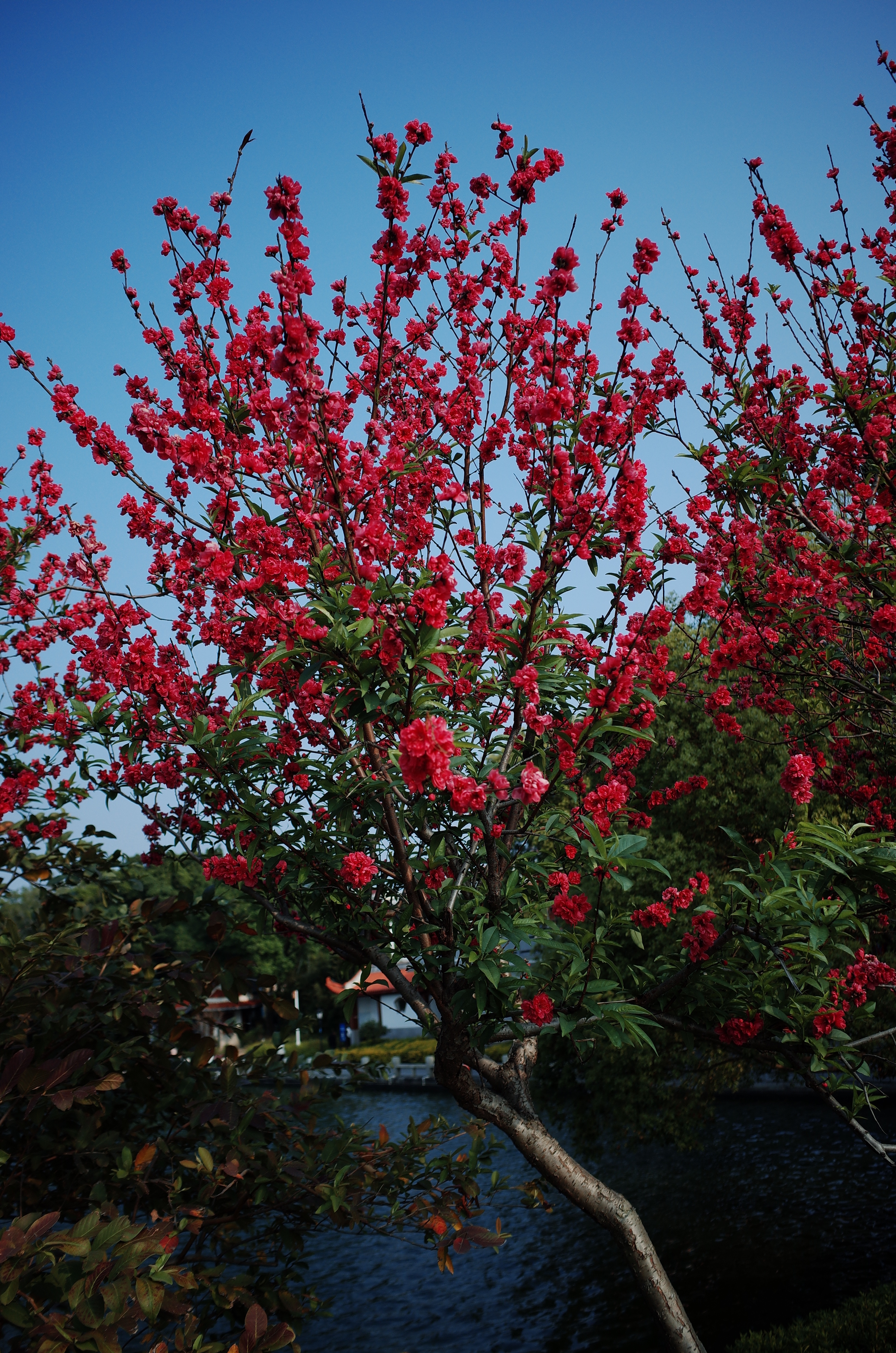 说的不就是我嘛，大家好好珍惜 