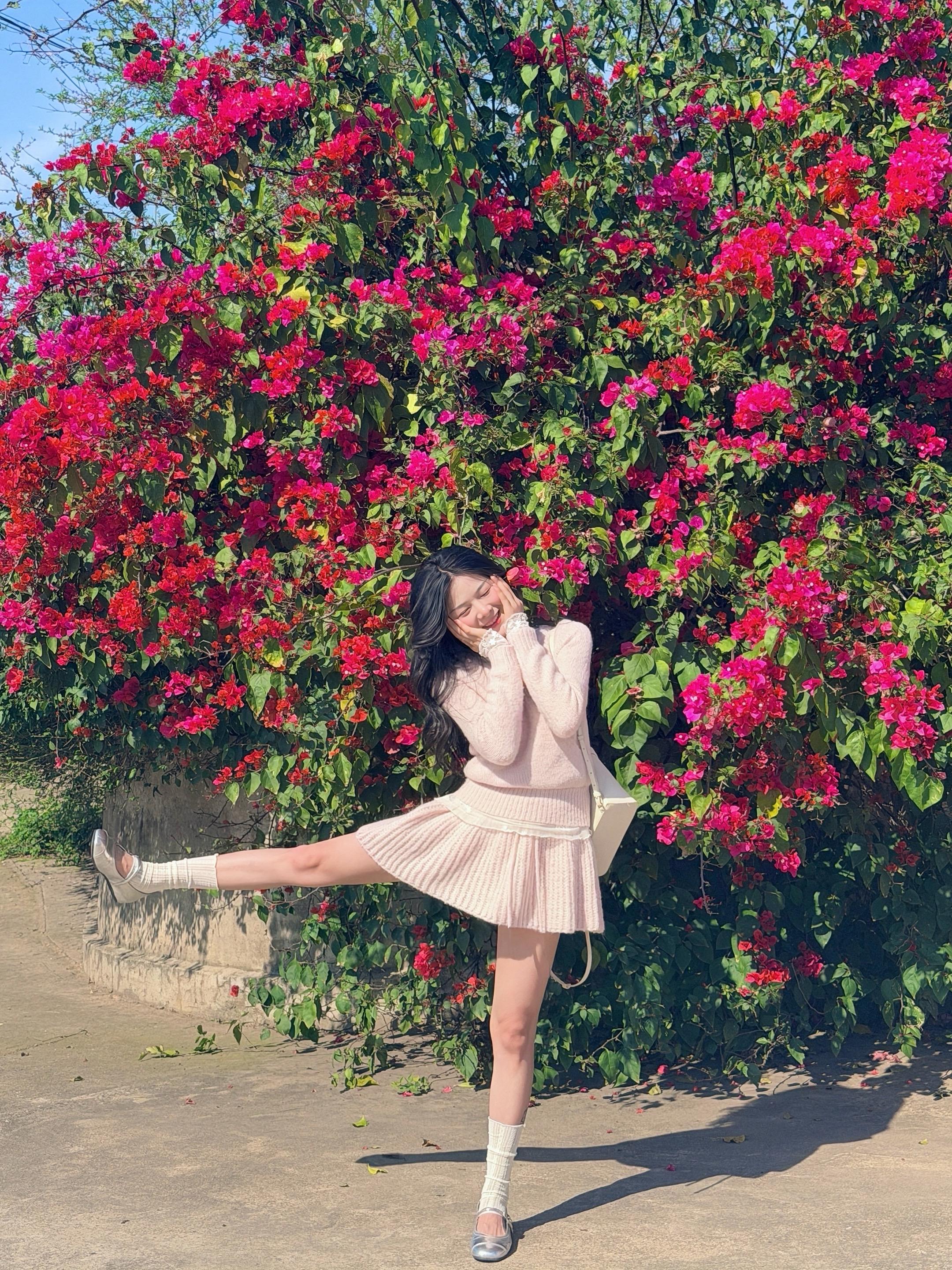 随处可见的春🌺。