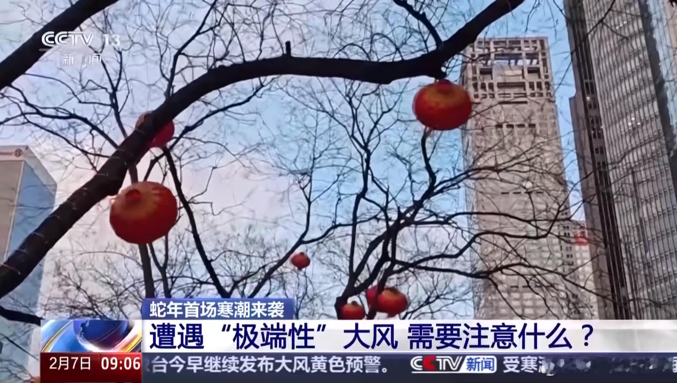 北京9级大风冷得发怵  注意什么？注意非必要不出门[哈哈]看楼下遛狗的人都很勉强