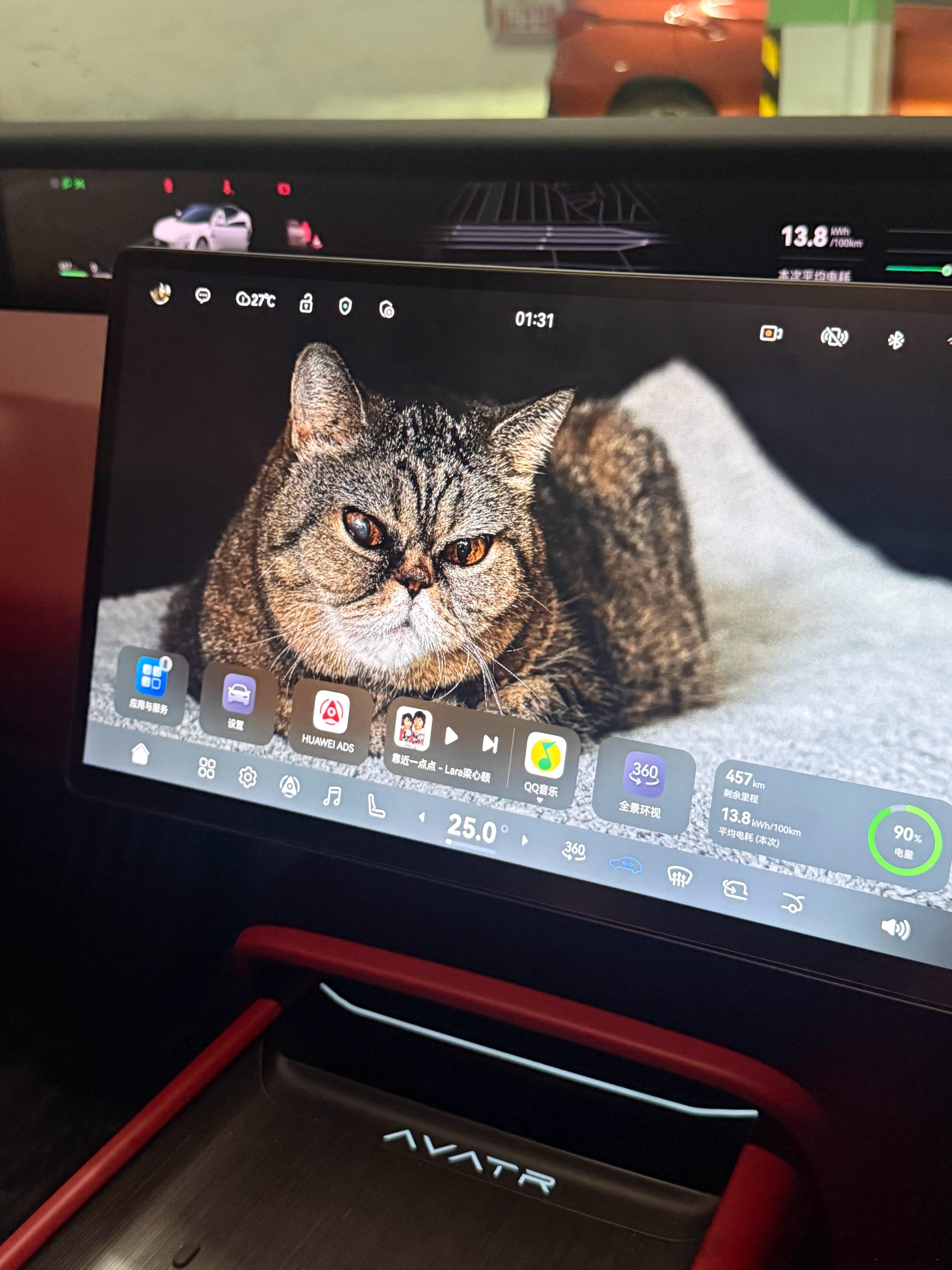 家属车机互联后的两个月，才换上肥肥猫桌面，说好的最深爱猫猫呢？lucky家的三傻