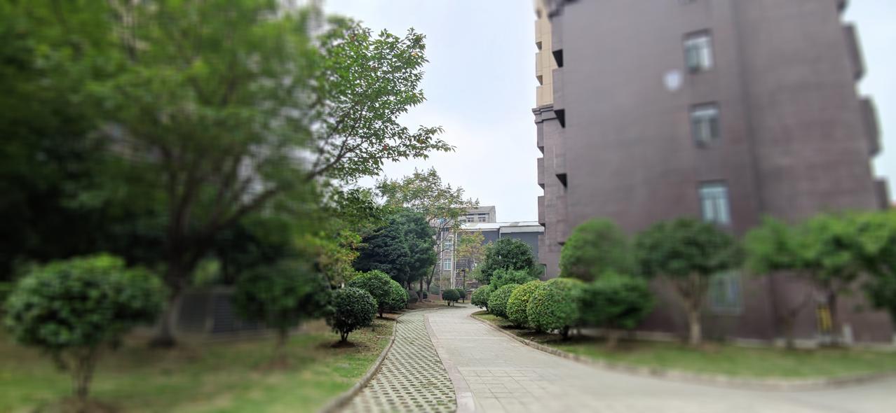 成年人的清醒，是承认自己只是个普通人。人要少点贪念，多点知足，认清想要的，接受遗