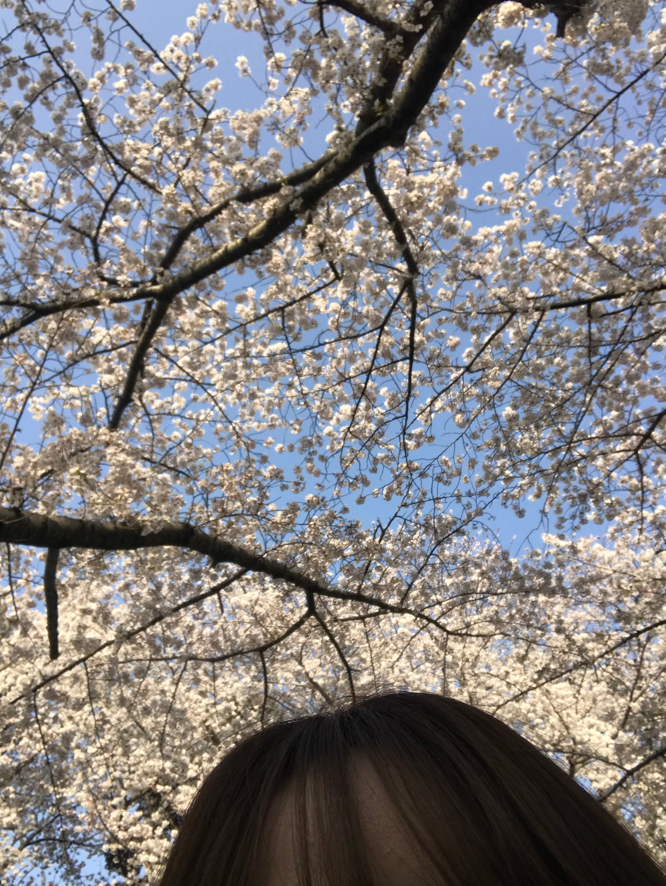 永远太远了 放学一起走好吗🎒 