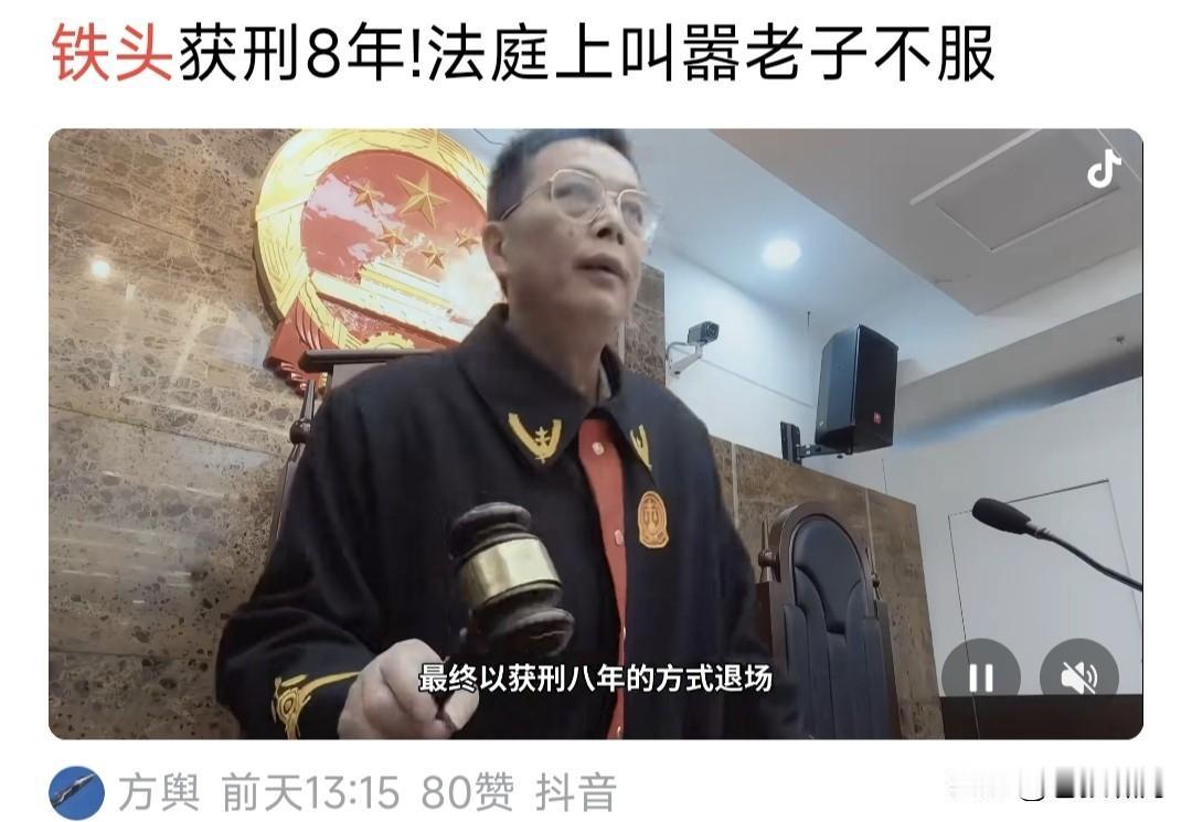 网红“铁头”判刑8年，法院认定其犯敲诈勒索，寻衅滋事，恶势力组织罪。数罪并罚，判