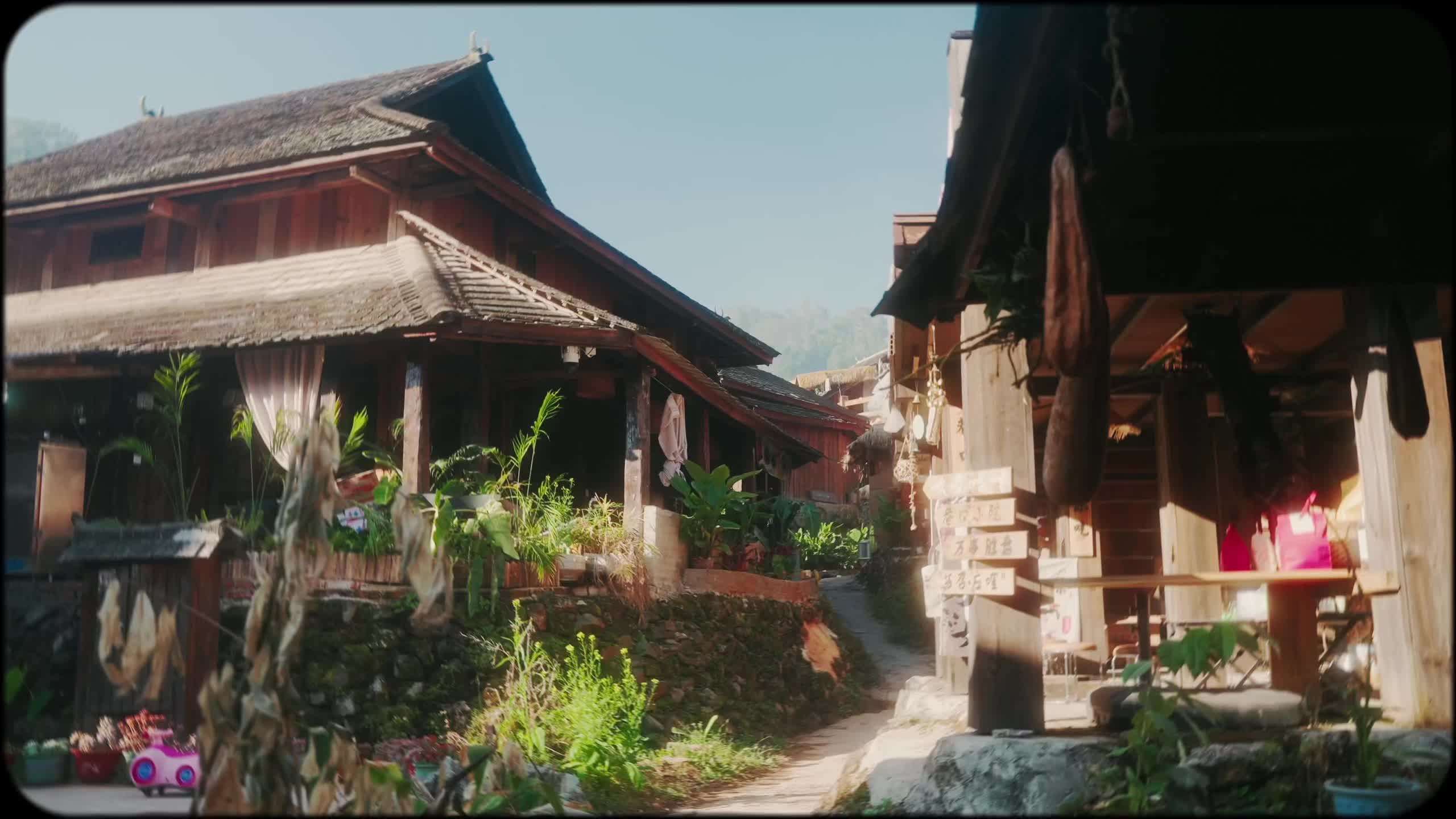 景迈山