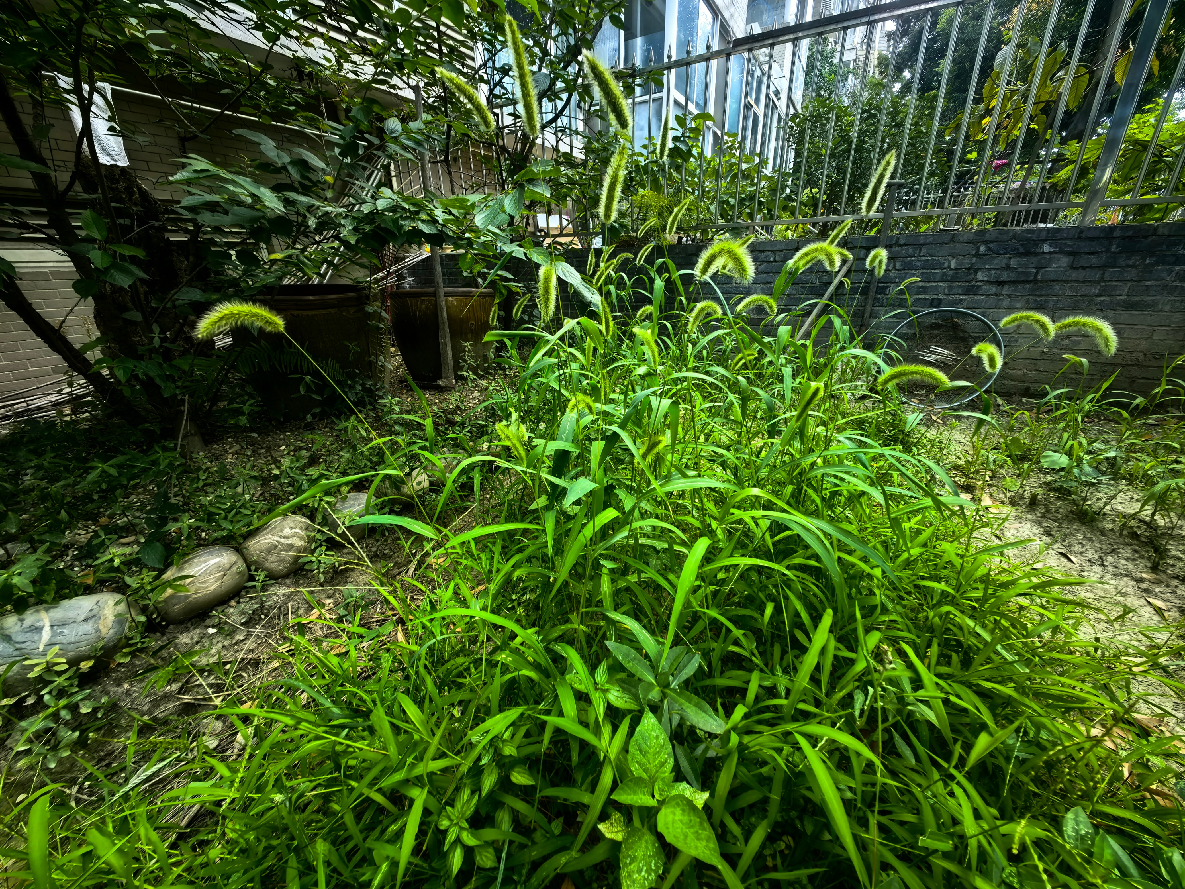 两个月前的今天，拿到《都市田园记》样书，还没来得及自我欣赏，就出门远游。环球一圈