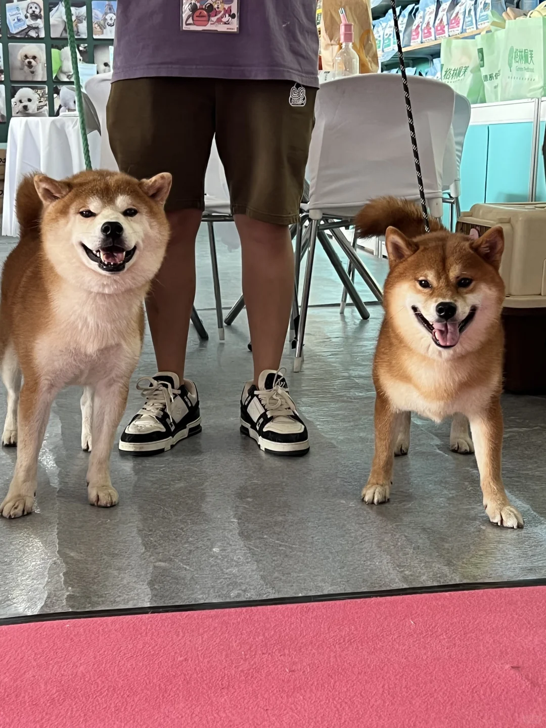我们在上海亚宠展哦