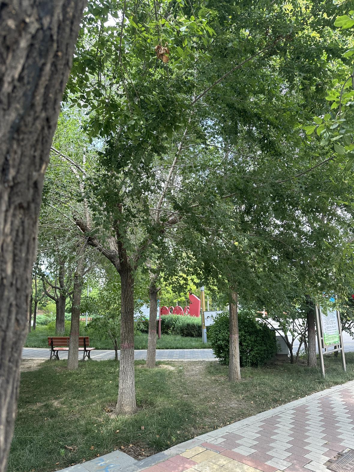 我的今日状态：😁轻松愉快
我这里的天气：🌤️多云