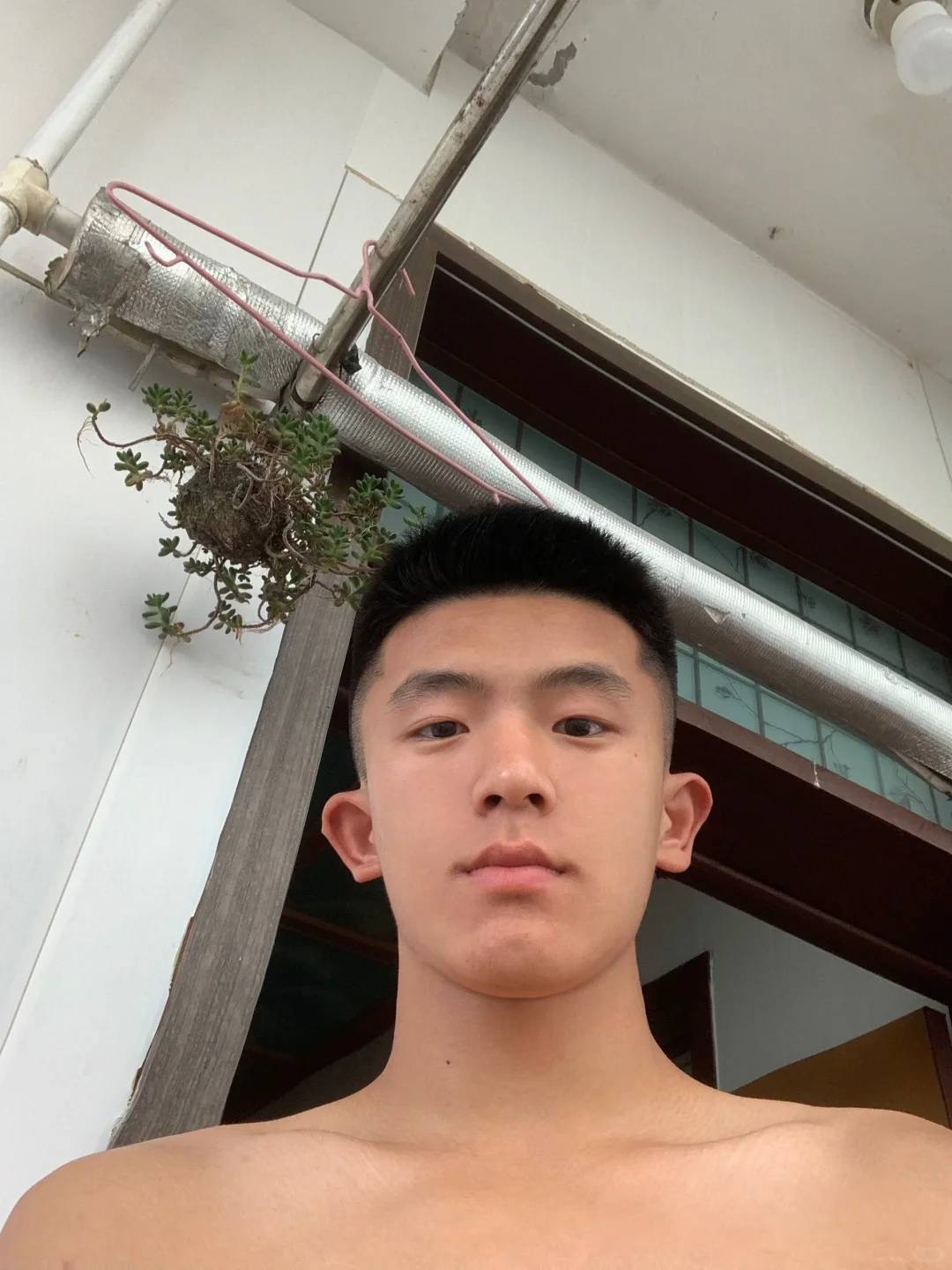山东  寸体