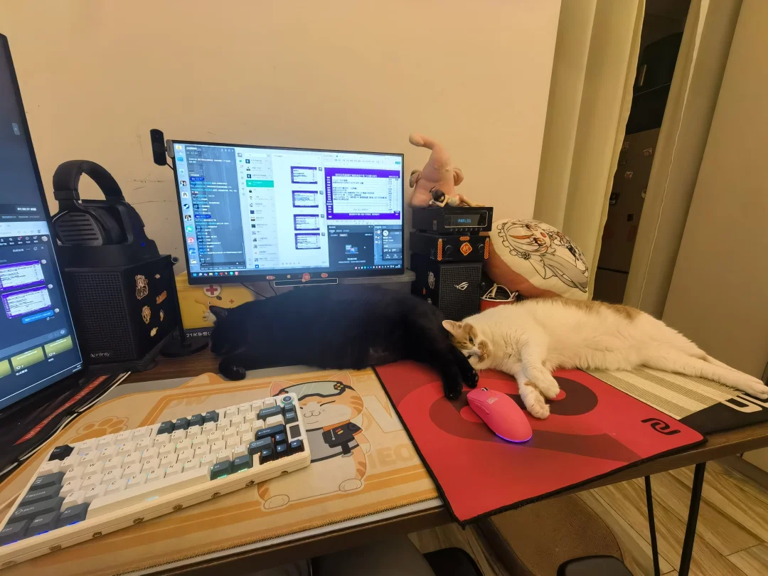 卖电脑直播完，下播睡觉。。