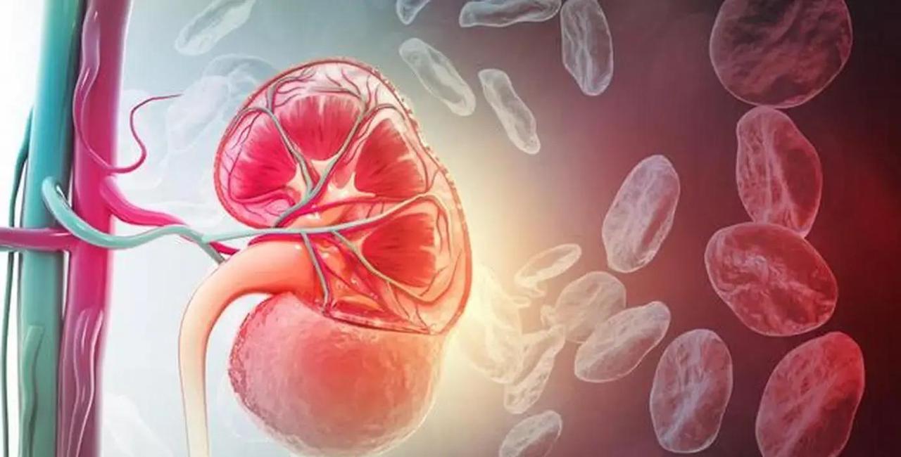 一周喝下14瓶冰镇饮料，47岁高管肾脏竟重度损伤？这反差让多少人脊背发凉？

李