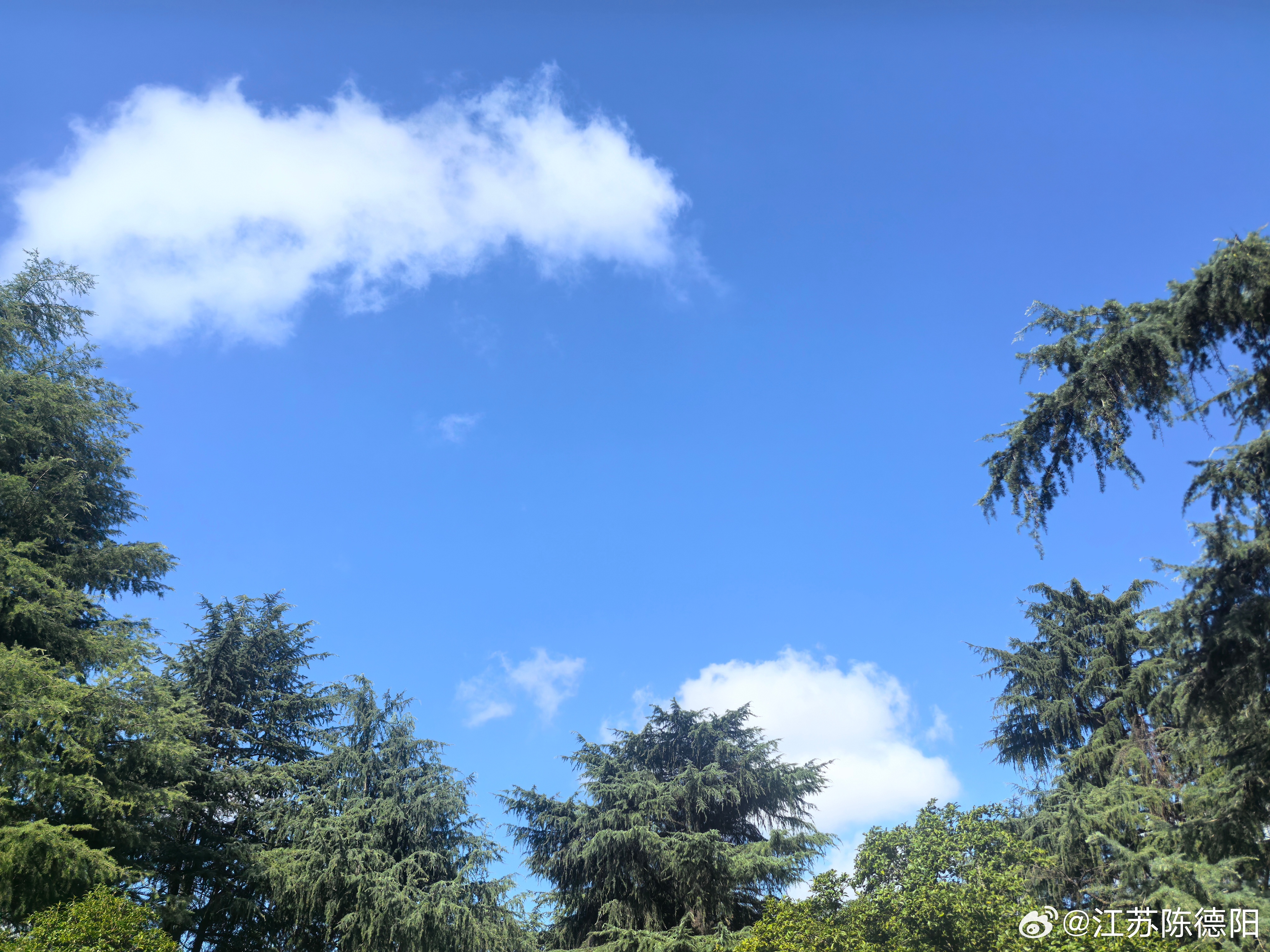 在年轻的字典里，自我成长应该是优先级最高的选项。  ​​​
