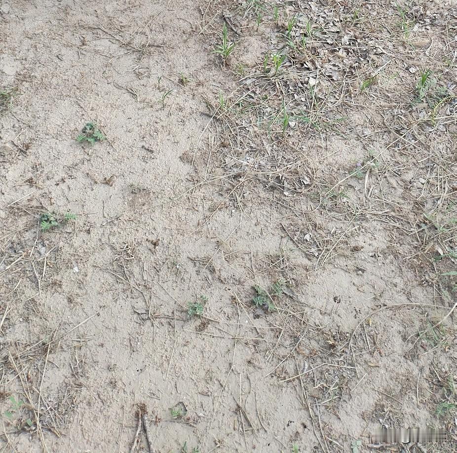 我去查了查这个事，还挺详细的。

领失业保险金对找工作基本没什么负面影响，这点可