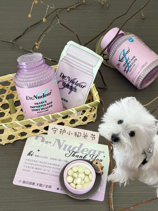 保护狗腿子｜关节养护保健品🦴