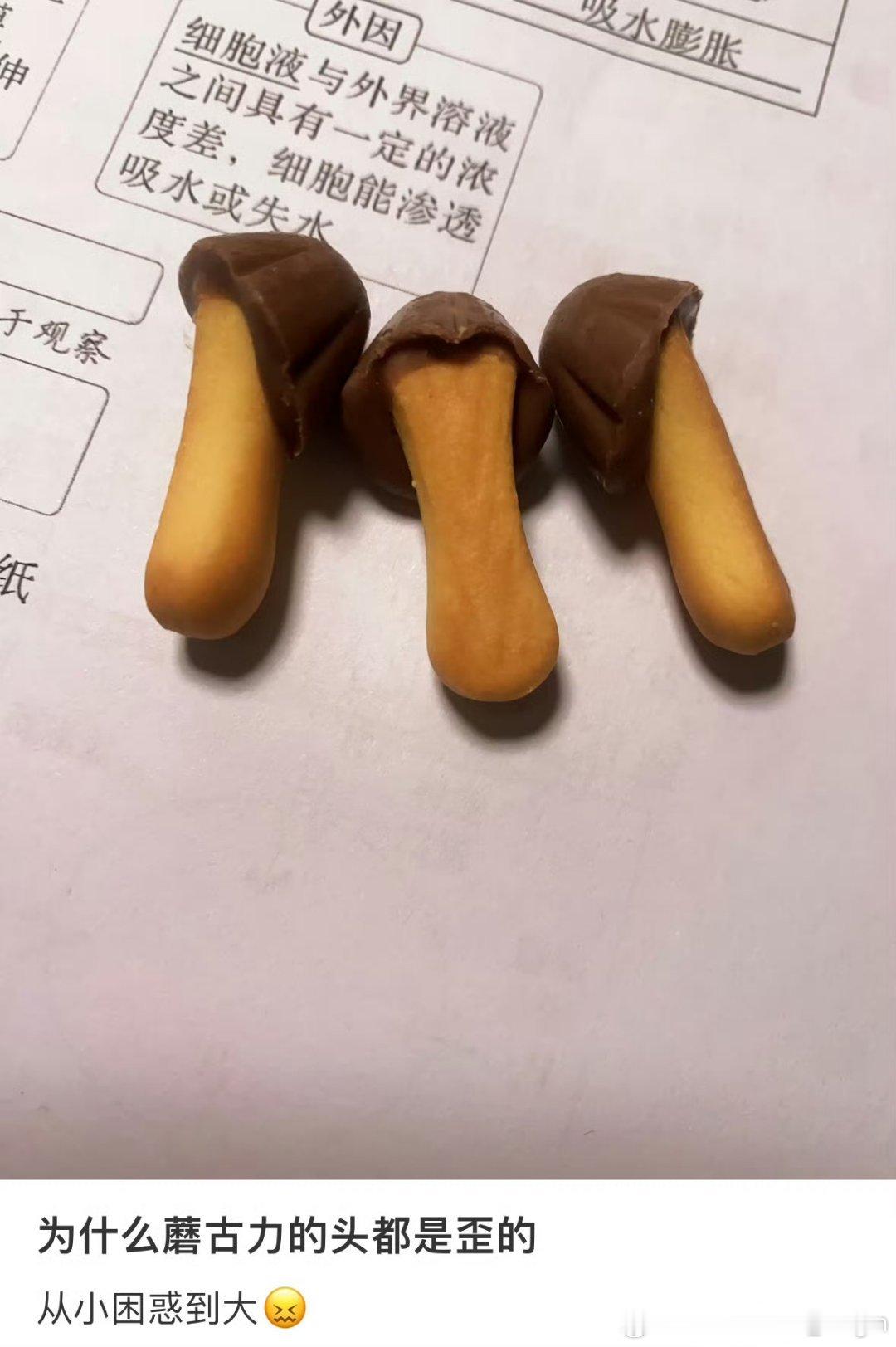知道为什么外观侵权这么难处理了吧？[二哈]新能源汽车[超话]车评精选 ​​​