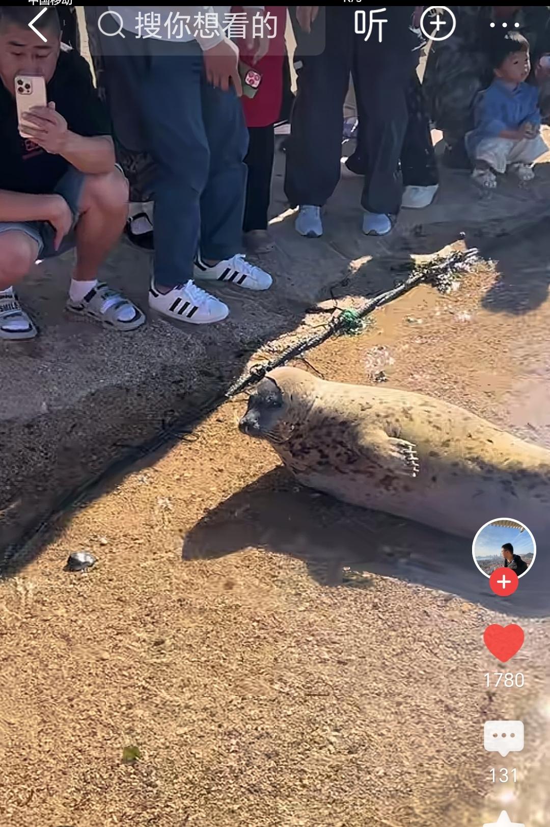 娜娜已经离不开人类了！没有人类他怎么活？没有捕猎的能力，更没有野外生活的经历。