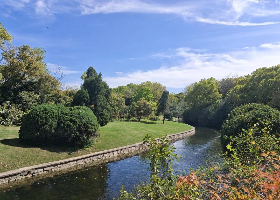 上海今天达到了英国的空气质量，长宁区美标AQI41，西郊公园堪比约克郡上海