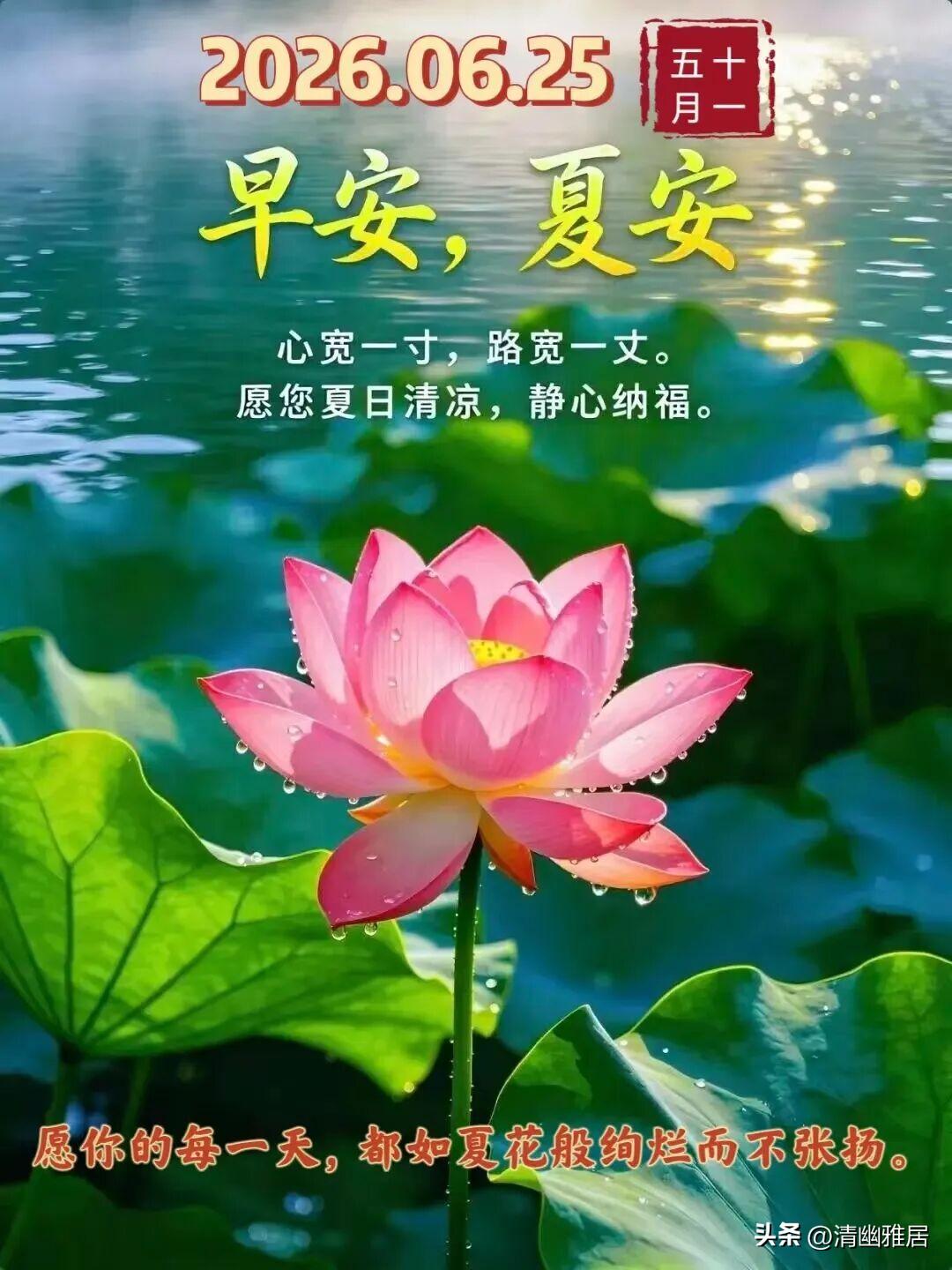 你会选择吃野菜还是种植的蔬菜这两个不能相提并论，都可以吃的，只不过是各有不同的味