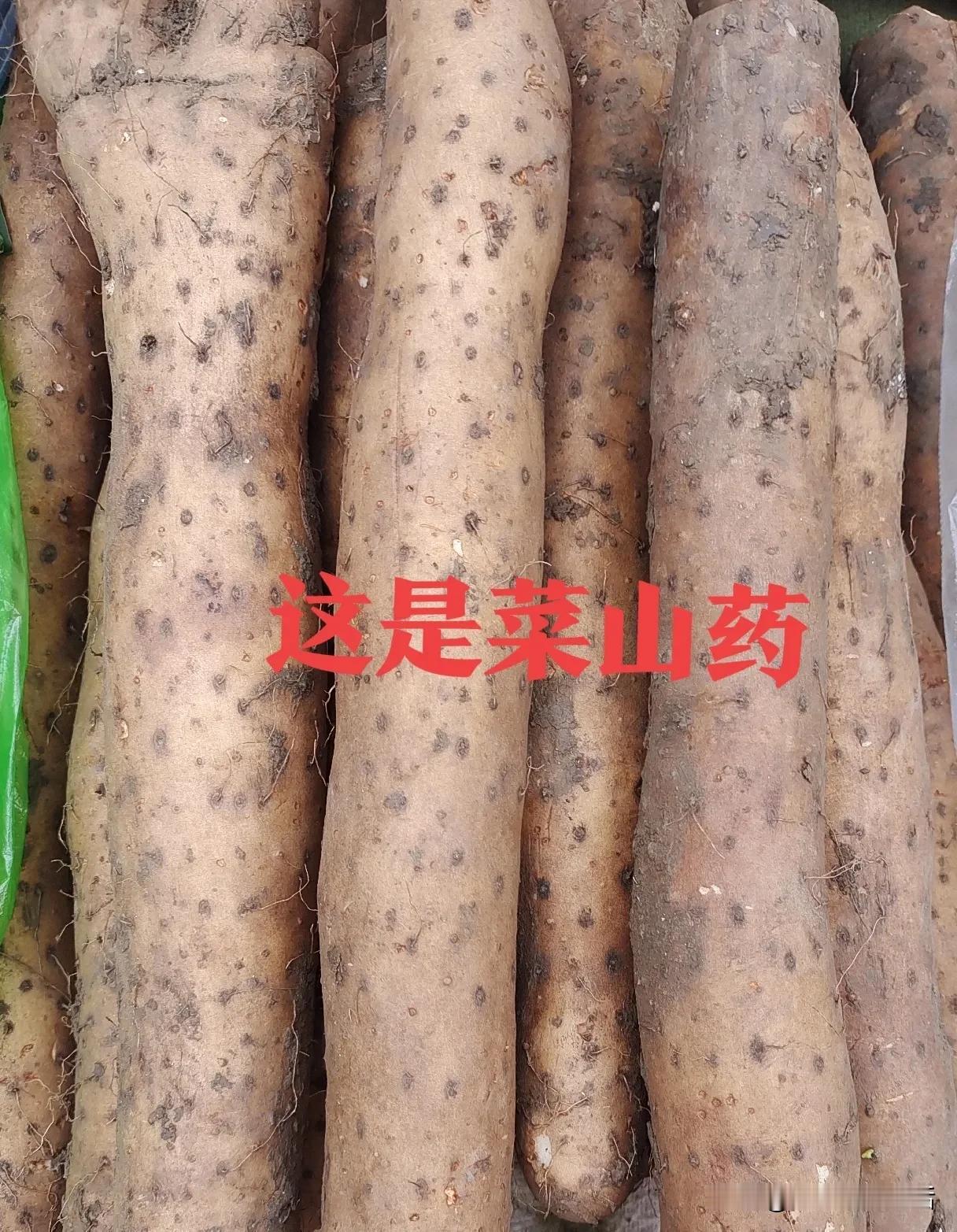 菜山药和铁棍山药有哪些区别?菜山药和铁棍山药有明显区别。菜山药外形粗壮，水分多，