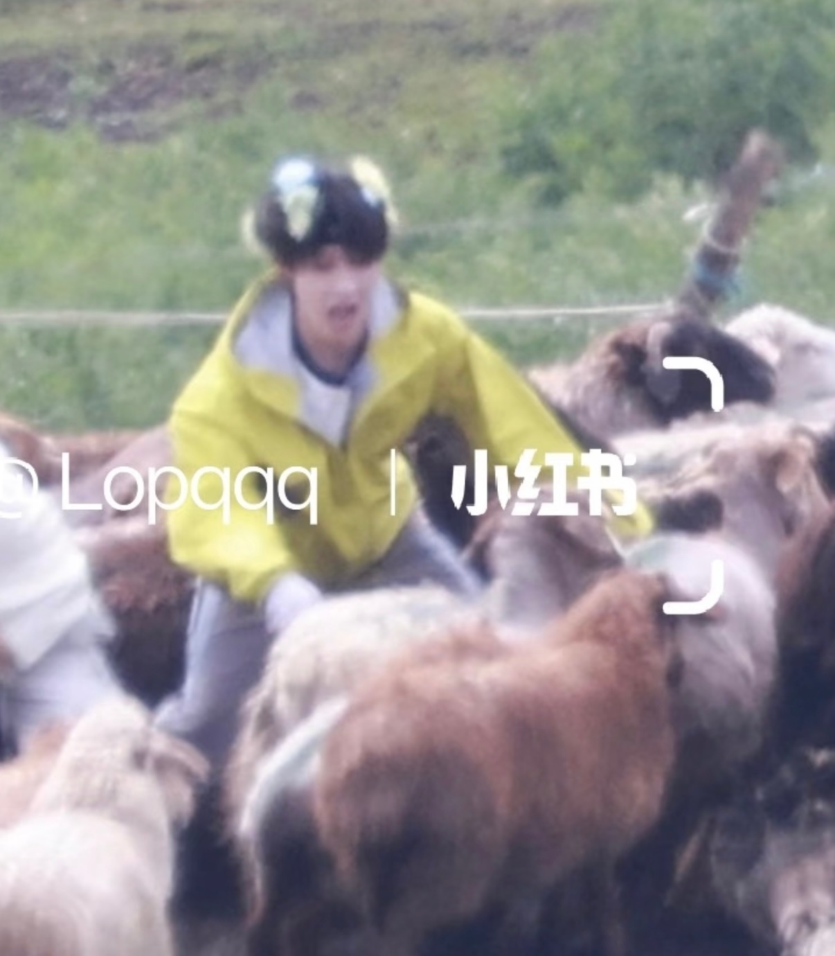 就是有一种笨气袭来苏新皓一路向海的少年