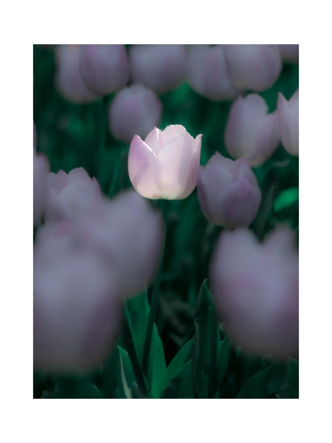 The train is gone, as if you never came