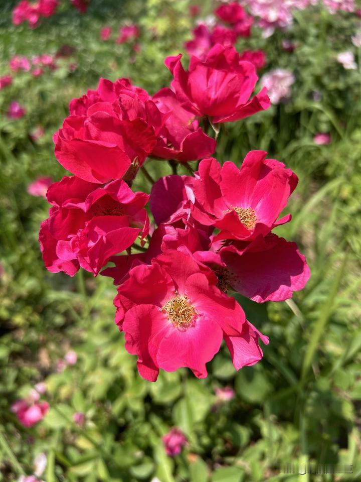 我已经好久没更新头条了，冒个泡，我就想看看，能有多少流量～