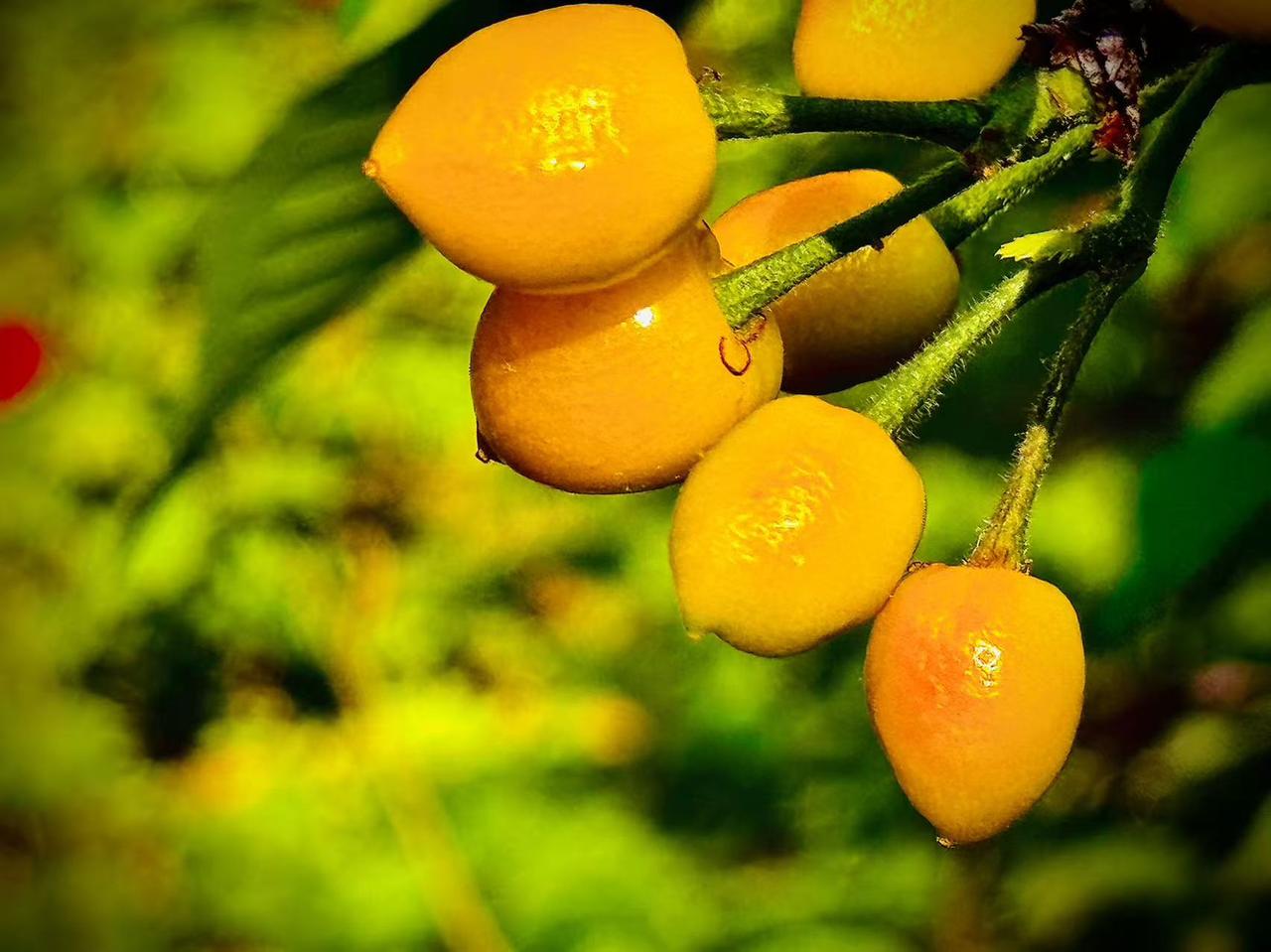 我的今日状态：😁轻松愉快
我这里的天气：🌤️多云
    勾起饥渴的灵魂
 