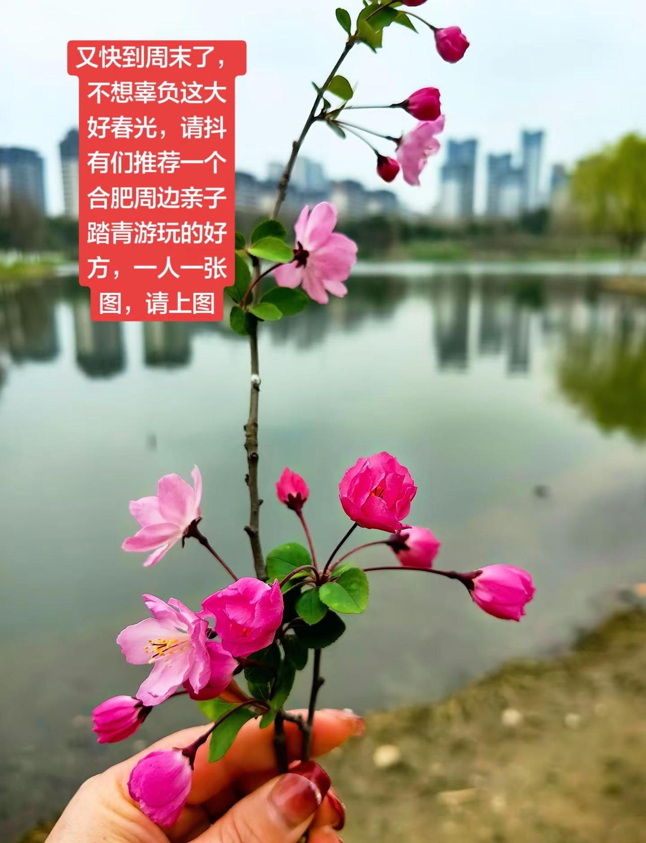 一年之计在于春，请万能的抖音给我推荐一下合肥周边适合踏青游玩的好地方