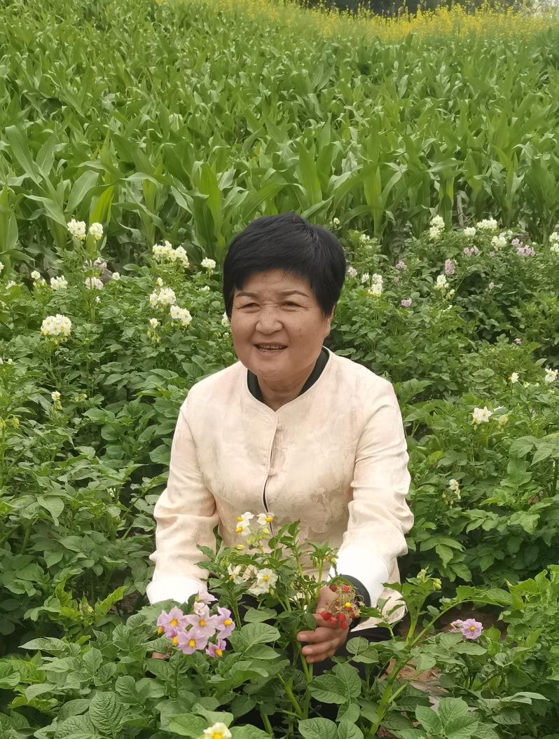 郑丽文喊的“欧盟模式”，藏着独台的小心思
郑丽文反复炒作的两岸“欧盟模式”，从根