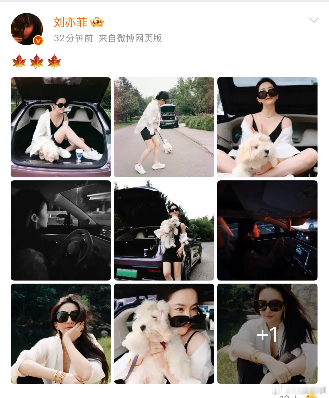 刘亦菲发布秋天第一波照片，照片内好多品牌露出啊，汽车、咖啡、珠宝。商务女王就是这