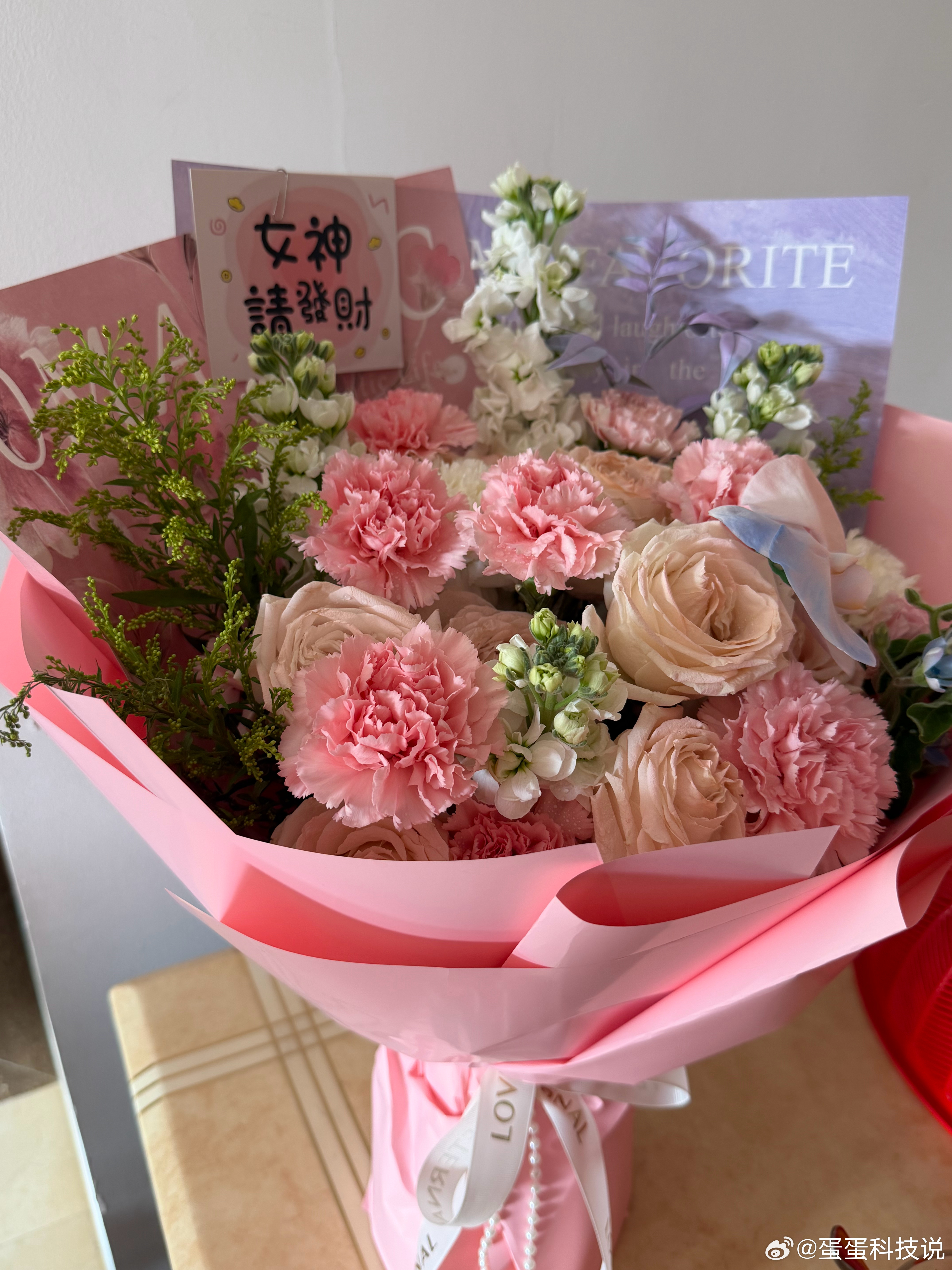 妇女节 祝所有女生、女神们妇女节快乐～愿你永远自在如风，在属于自己的世界里，永远