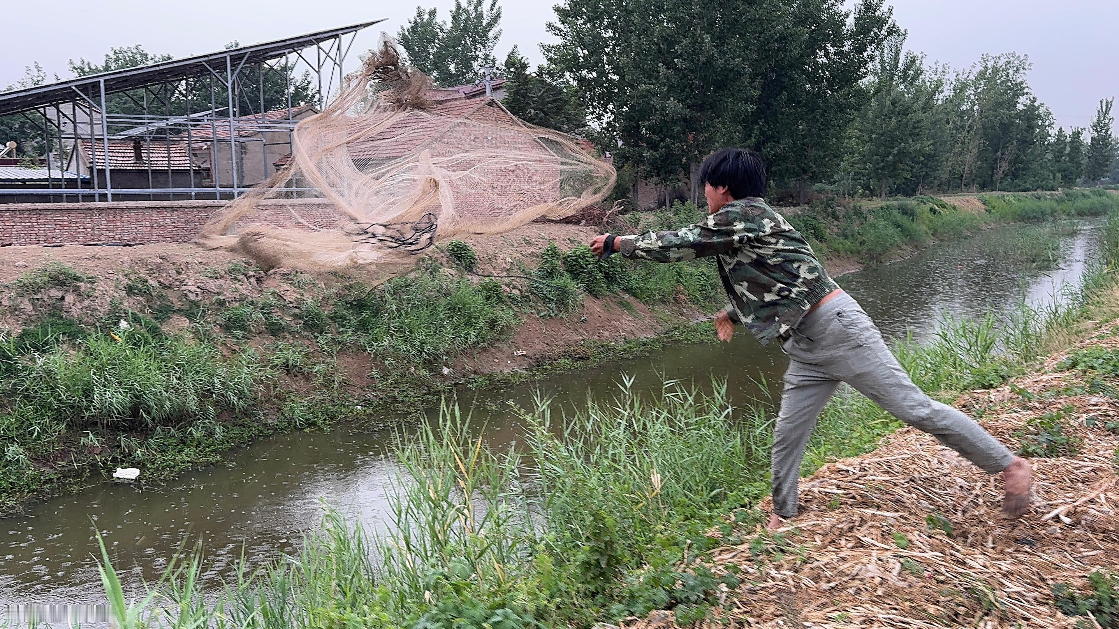 雨天撒网，龙虾鱼都有，就是图4的这个贝壳，放在桥上没有人要 ​​​
