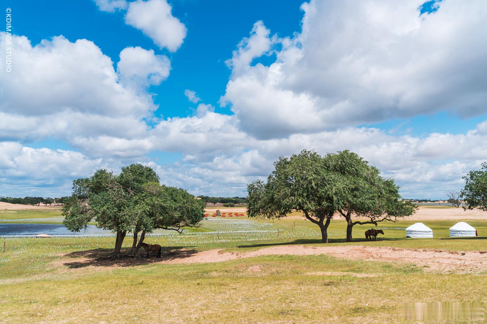AI旅行任意门微博旅行ING交换城市春光 五一去内蒙古，我必须先说句实话：五月的