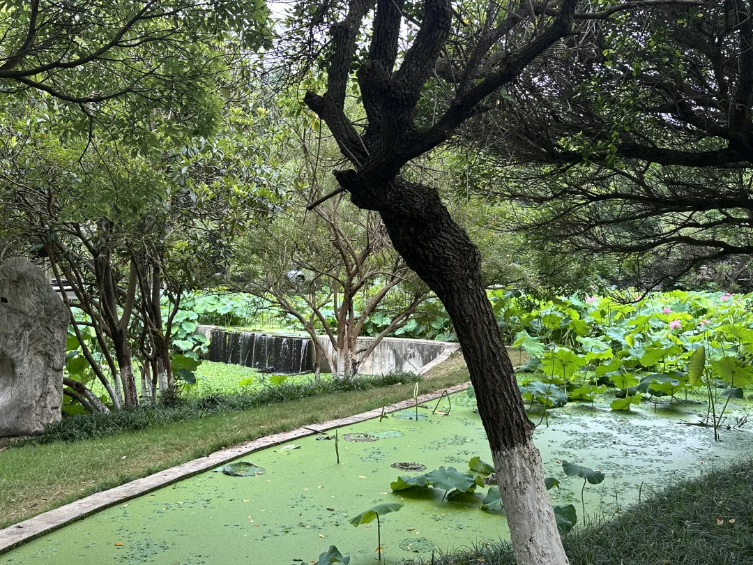 首先记住一句话：只要大大方方、理直气壮地去做任何事，气场自然就强大。 ...