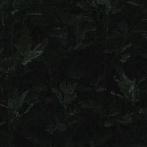 情感语录 从前，我总是太在意别人的感受而忽略了自己。-后来我明白，我们不需要太用