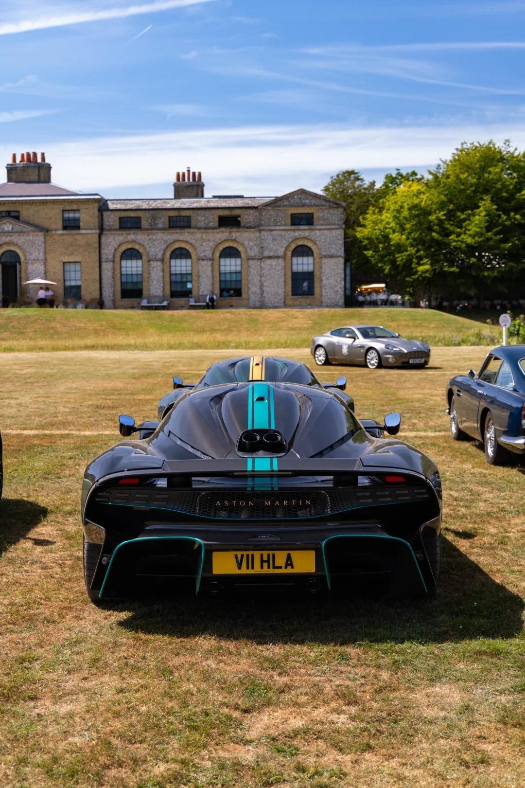 阳光、草地和Aston Martin Valhalla绝美车片