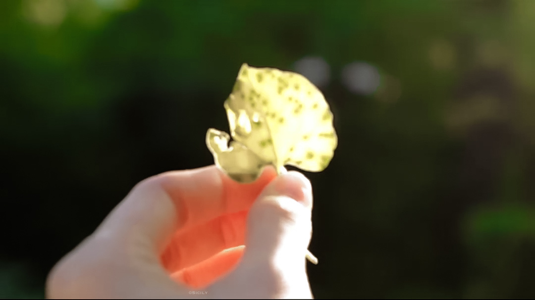 *miumiu—*刘浩存