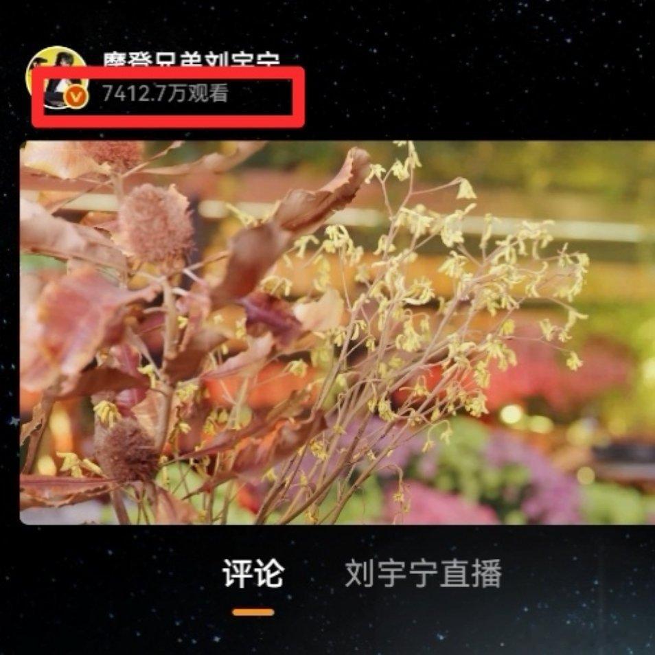刘宇宁康乃馨音乐节7.0下播前最后一秒热度【7412.7万】刘宇宁直播 能超越直