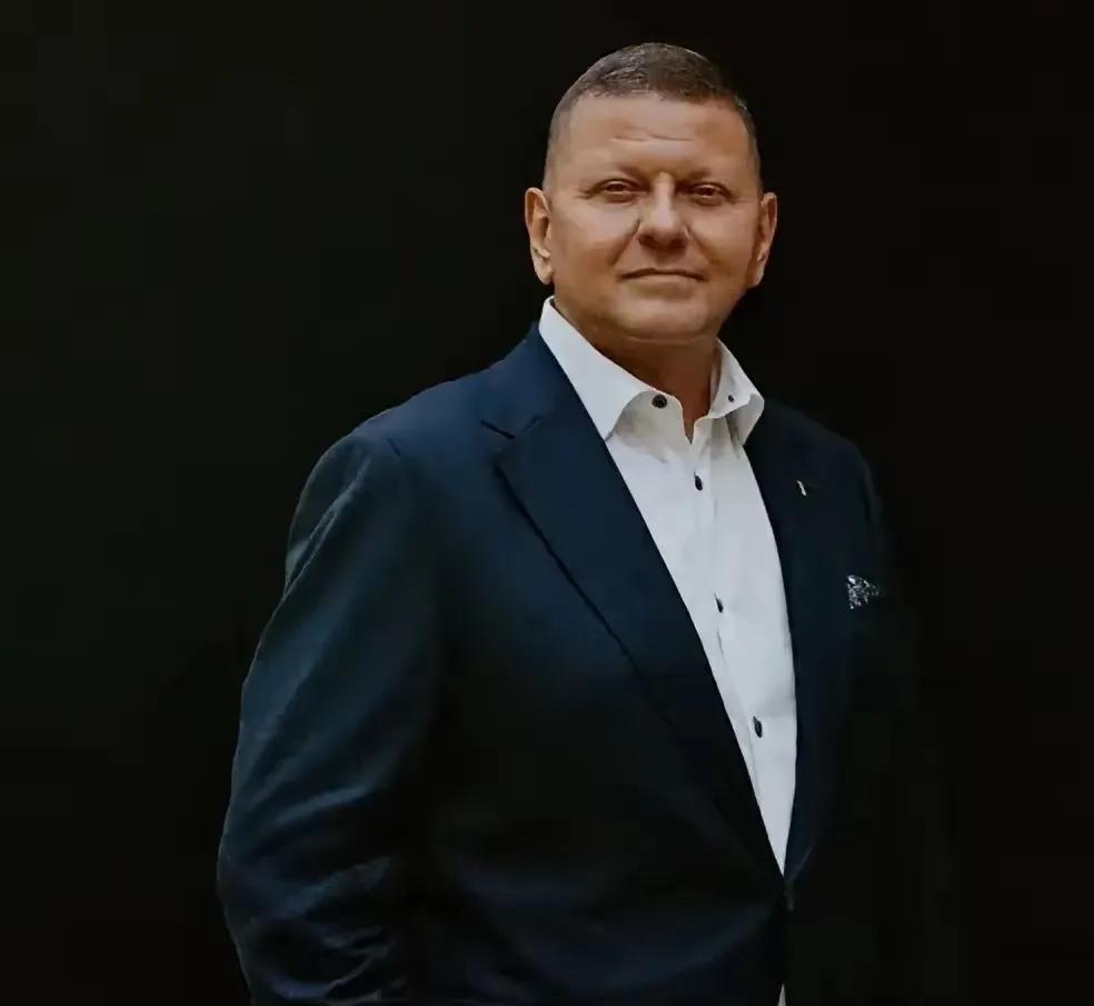 乌克兰还是有清醒之人的，可是他却不受到泽连斯基的重用，甚至被泽连斯基给派遣到海外